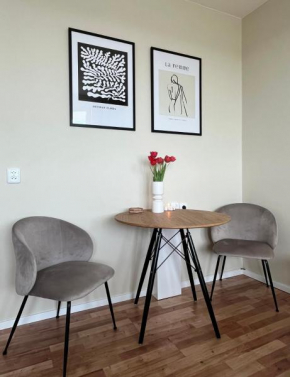 Elegant studio close to the city centre with AC